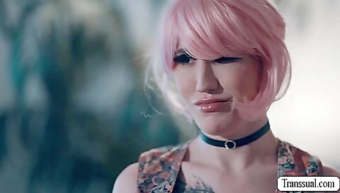 Haired Shemale Lets Sad Stepbro Bareback