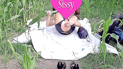 Sissy Second Cornfield